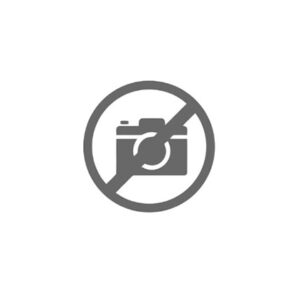 SATELLITE Z 10 - 49384 - 30170353