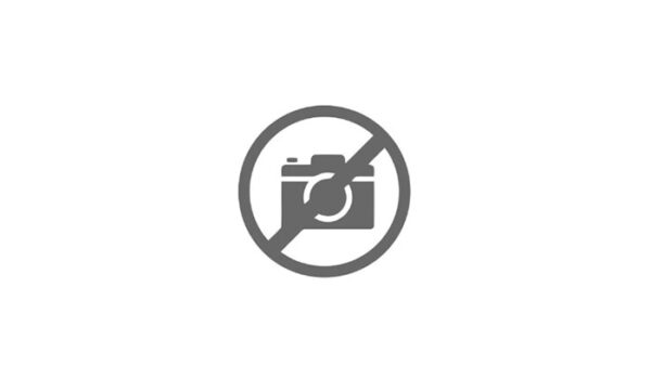 SATELLITE Z 10 - 49384 - 30170353