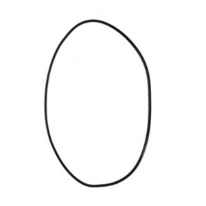 O-RING 170X3 - 49558 - 30170842