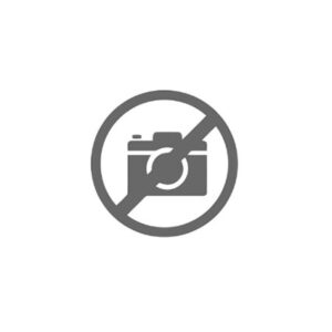 INGRANAGGIO Z 37 - 43309 - 35530060