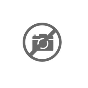 INGRANAGGIO Z 36 - 49584 - 35530063