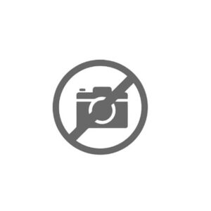 CHIAVETTA L=251 MM. - 49600 - 35530681