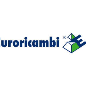 FLANGIA PORTACORONA Z 85 - 47323 - 60170190