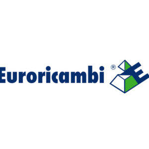 PERNO SCATOLA DIFF. - 49901 - 60170486