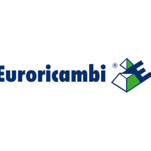 MOZZO SINCRONIZZATORE - 49871 - 60530063