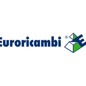 MOZZO SINCRONIZZATORE - 47159 - 60530100