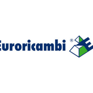 SINCRONIZZATORE 2A/3A VEL - 49269 - 60530191