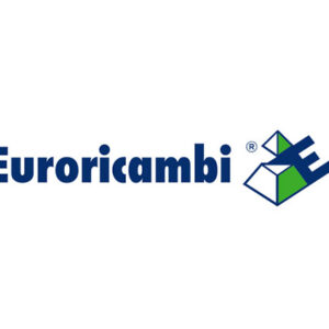 INGRANAGGIO 4A VEL. Z 33 - 50657 - 60530322