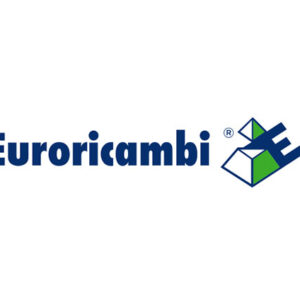 INGRANAGGIO 1A VEL. Z 39 - 47086 - 60530335