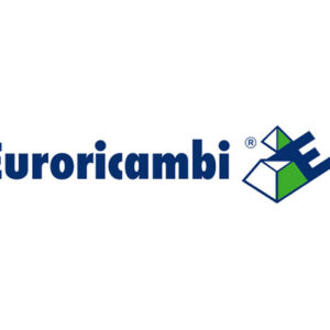 CONO SINCRONIZZATORE - 47087 - 60530383