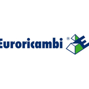 MOZZO SINCRONIZZATORE - 47458 - 60530602