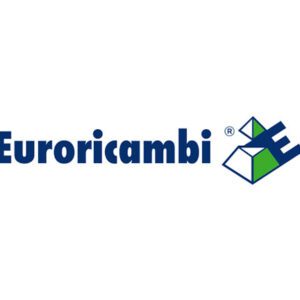 MOZZO SINCRONIZZATORE - 47495 - 60530605