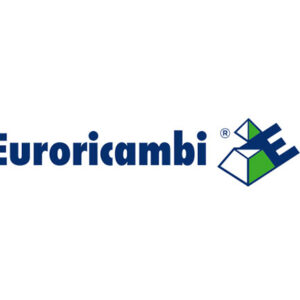 MOZZO SINCRONIZZATORE - 47564 - 60530611