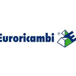 MOZZO SINCRONIZZATORE - 47573 - 60530614