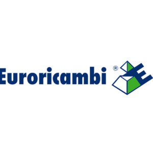 INGRANAGGIO COSTANTE Z 44 - 47602 - 60530638