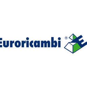 INGRANAGGIO DOPPIO Z25/21 - 47809 - 60530721