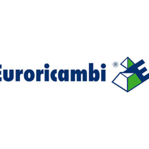 CONO SINCRONIZZATORE - 47773 - 60530807