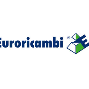 MOZZO SINCRONIZZATORE - 47666 - 60530920