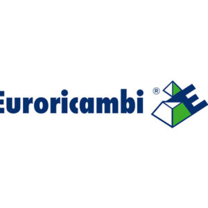 INGRANAGGIO R.M. Z 19 - 47812 - 60531101