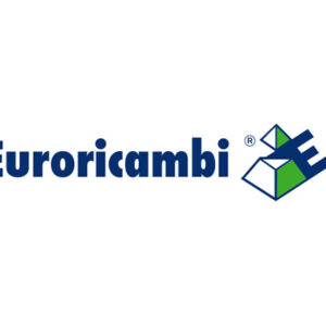 INGRANAGGIO Z 29 - 50123 - 70530035