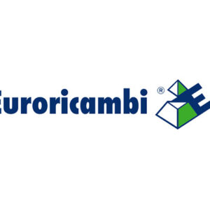 SINCRONIZZATORE 1A R.M. - 48256 - 70530299