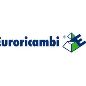 CUSCINETTO INA VRS-F58383 - 51184 - 74170347