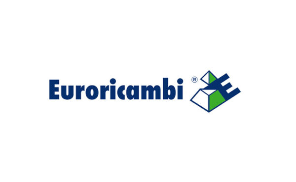 INGRANAGGIO 5A VEL. Z 41 - 49866 - 74530147