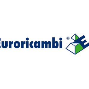 RASAMENTO SATELLITE - 43892 - 88170013