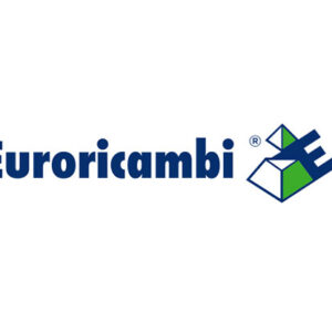 INGRANAGGIO Z 29 - 43658 - 88170076