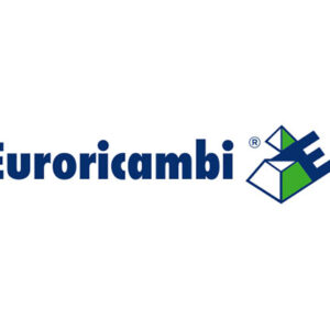 KIT DI REVISIONE VALVOLA - 43602 - 88530045