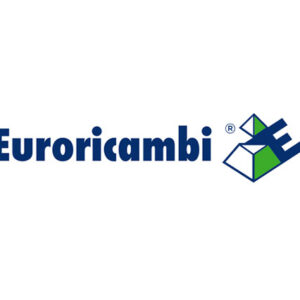 INGRANAGGIO R.M. - 43951 - 88530107