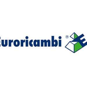 CONO SINCRONIZZATORE - 44011 - 88530315