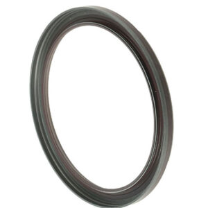 ANELLO TENUTA 132X160X10  - 384053 - 95170031