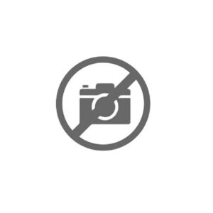 MOZZO SINCRONIZZATORE - 50396 - 95530065