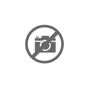 INGRANAGGIO R.M. Z 20 - 46125 - 95530092