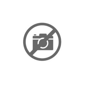 INGRANAGGIO R.M. Z 33 - 50553 - 95530127