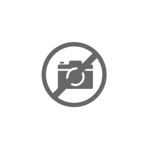 INGRANAGGIO COSTANTE Z 28 - 49081 - 95530646