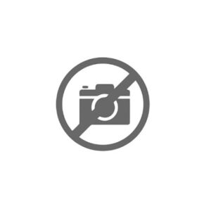 INGRANAGGIO Z 37 GV90 - 46132 - 95530731