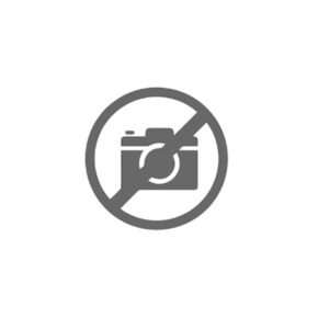 INGRANAGGIO 4A VEL. Z 31 - 46473 - 95530882