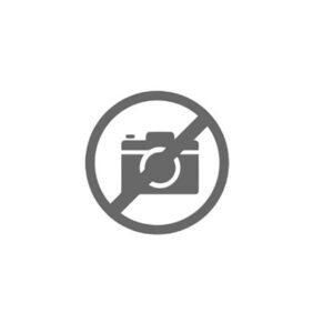 ARRESTO ASTA COMANDO - 46412 - 95531267