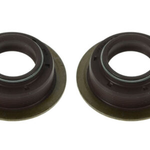 GUARNIZ.CAP.LO 22X36X14,5 - 45871 - 95531565