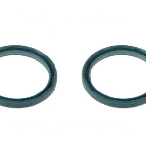 PARAOLIO 30X37X4 - 42998 - 95531678