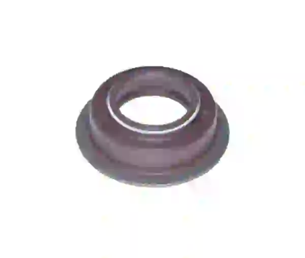 PARAOLIO 25X40X15 - 43025 - 95532553