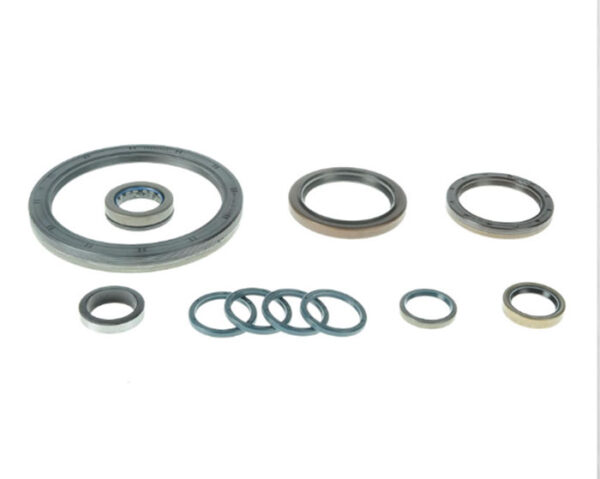 KIT PARAOLI - 43049 - 95534146