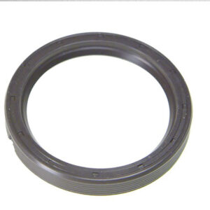 PARAOLIO 55X70X8 - 50302 - 95534790