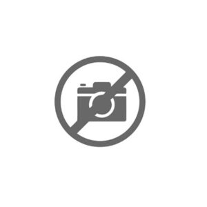 INGRANAGGIO COSTANTE Z 29 - 46471 - 95570056