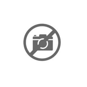 MOZZO SINCRONIZZATORE - 50363 - 95570252