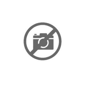 INGRANAGGIO 3A VEL. Z 25 - 50522 - 95570510